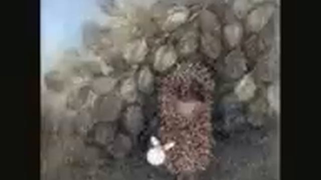 Если меня совсем нет))) смотреть онлайн