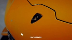 MUXIBOSH - Looking Back (Original Mix)