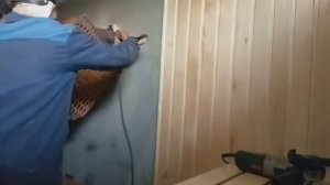 Печь для бани.Часть2.