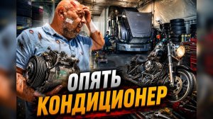 КАК ВЫЖИВАЮТ РУССКОЯЗЫЧНЫЕ НА ЗАГНИВАЮЩЕМ ЗАПАДЕ: Начало работы не заладилось. 2626