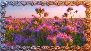 🌸Щебетания птиц и жужжания пчел — прекрасные успокаивающие мелодии живописного цветочного поля.