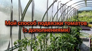 Мой способ подвязки томатов (с дополнениями)