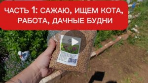 дачный блог