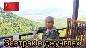 Завтрак с видом на джунгли.