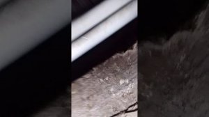 вторая часть