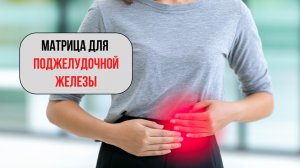 Матрица для поджелудочной железы. Уникальная методика волновой генетики