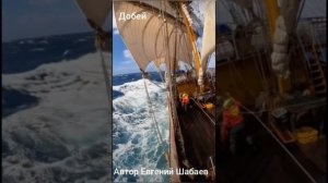Добей. Автор Евгений Шабаев