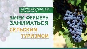 Новые люди – это новые идеи. Чем привлекателен сельский туризм для фермера