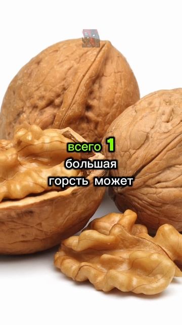 Шокирующая правда про грецкий орех!¿? 🙀🫶🤯