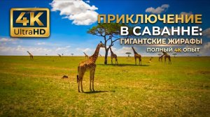 4K Животные Африки — Путешествие по дикой природе