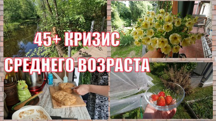 Открыли купальный сезон. Я в интересном положении. Собираю первые ягодки. Кризис среднего возраста.