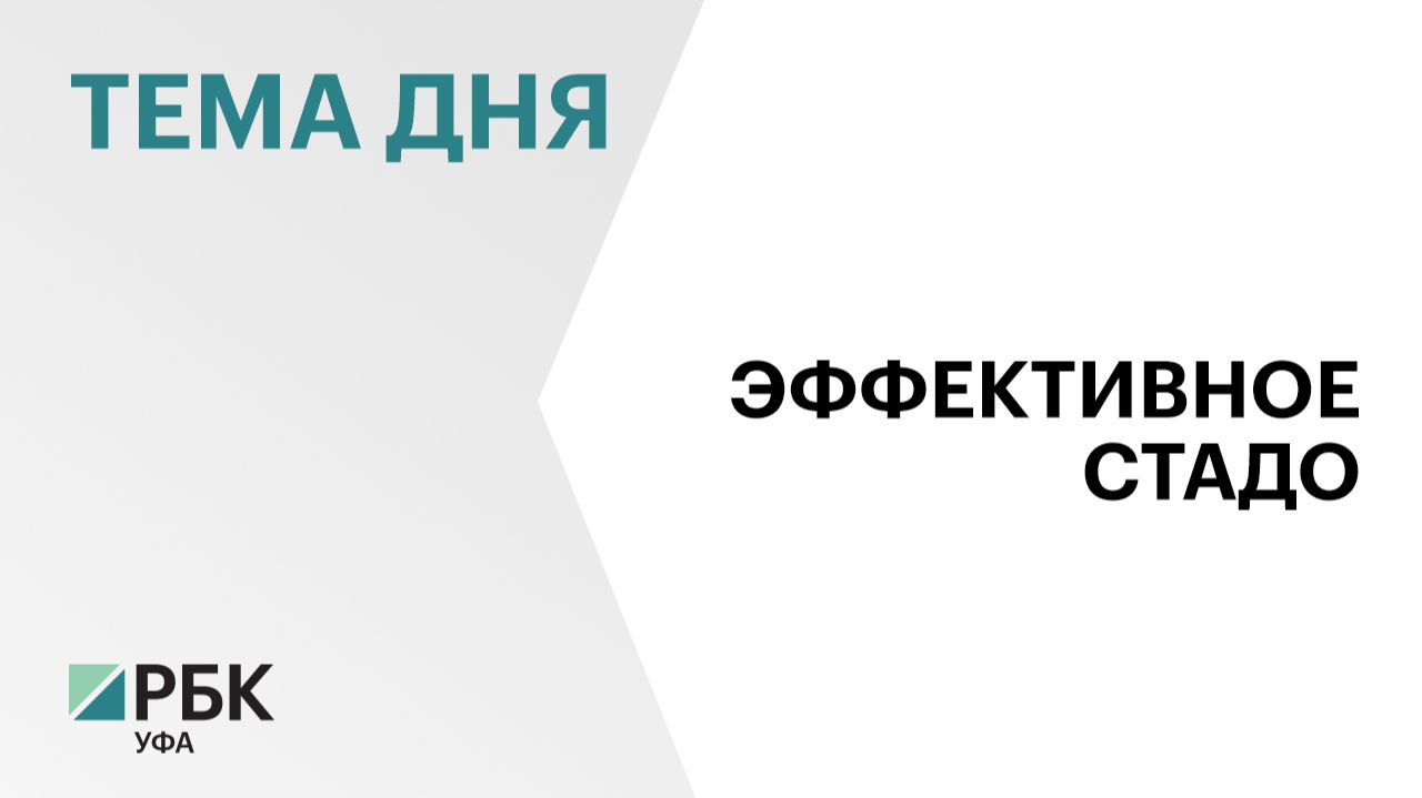 ₽25 млн направили на развитие геномной селекции в Башкортостане в 2025 г.