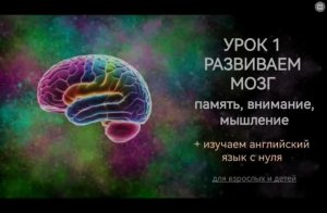 Развиваем мозг. Урок 1