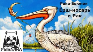 РР4 Ёрш носарь и Рак на р. Вьюнок.