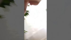 японская еда 2 часть