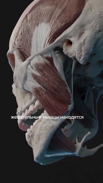 Из-за этого Вы будете чувствовать себя уставшим смотреть онлайн