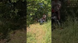 Обзор дачи в кредит