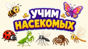 НАСЕКОМЫЕ для детей! Учим насекомых для самых маленьких на русском! Развивающие мультики для детей!