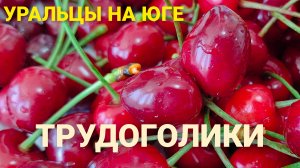Трудоголики.