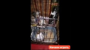 🫂Пойдём, Сестрёнка, скорей играть. Хватит болеть! Пора вставать. 🫂
