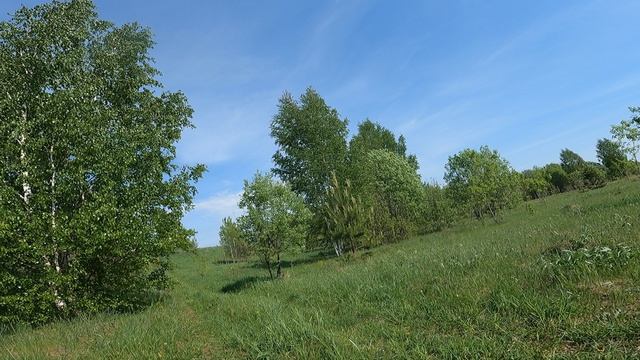 GH013988