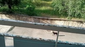 Как я провожу своё время в санатории. Чем занимаюсь.