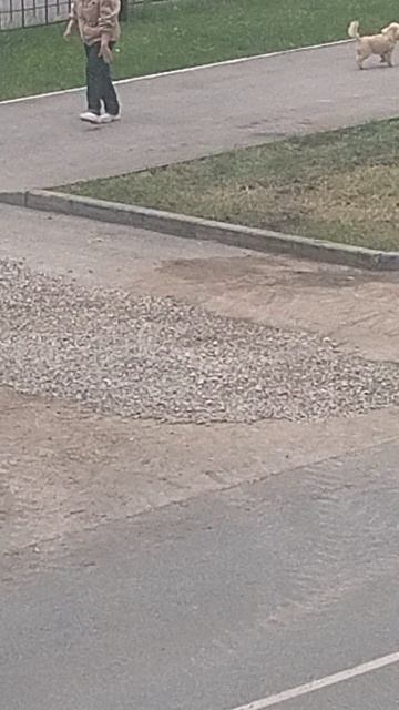 VID_20260611_184230390