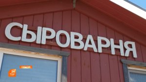 Сыровары наращивают производство