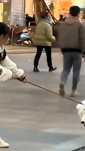 Смешные и милые ПёСики! 🐶🐾🐶🐾🐶🐾