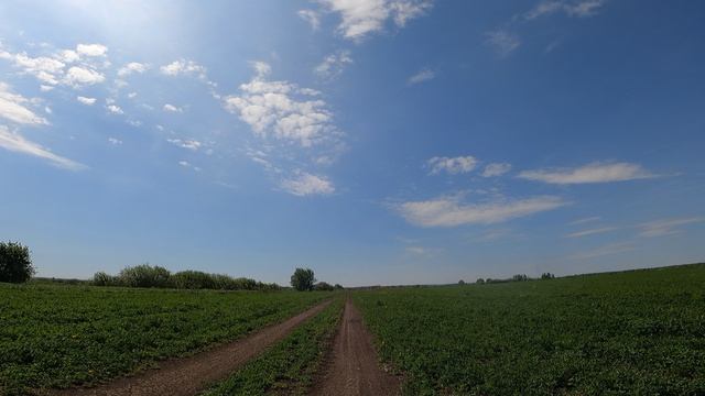 Кондратовские поля
