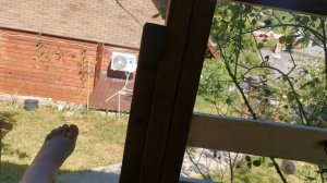 СОЧИ ГОРНОЕ ЛОО ВЕЧЕР 17.06.2026