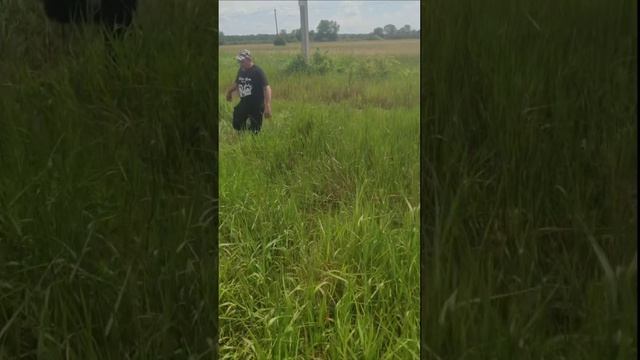 285275.mp4 смотреть онлайн