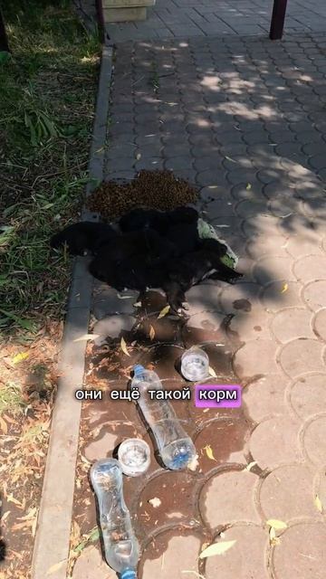 Кто мог это сделать?