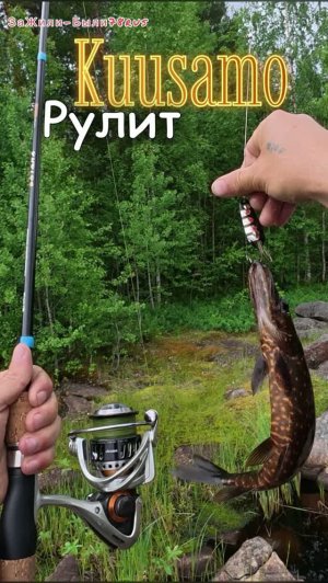 Карелия разловил kuusamo.