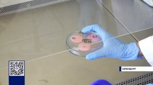 С ПЛЯЖЕЙ ОРЕНБУРЖЬЯ БЕРУТ ПРОБЫ ВОДЫ