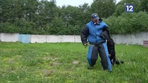 РАБОТА КИНОЛОГОВ