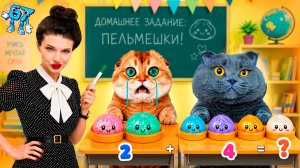 Злая воспитательница отобрала мягкие пельмешки и заставила учиться! Школа котов