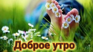 С добрым летним утром. Роскошная музыкальная открытка.