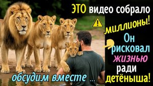 ЭТО видео собрало миллионы! Он рисковал жизнью ради детёныша! Эксперты не поверили своим глазам...