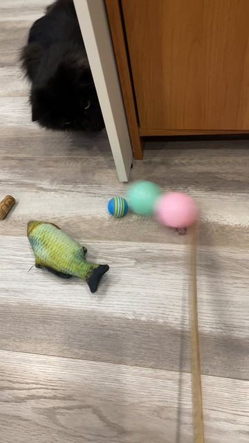 Куда исчезают игрушки?🙀