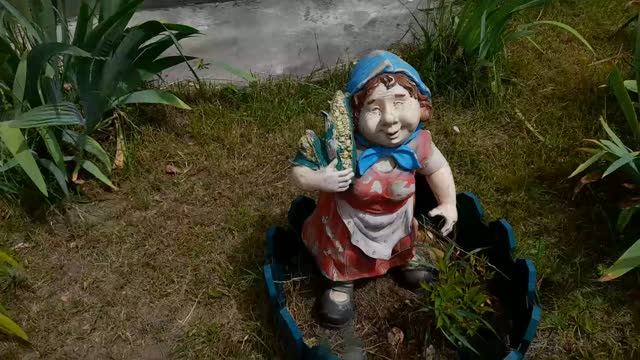 УХОД ЗА ПАЛИСАДНИКОМ