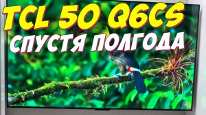 Телевизор TCL 50 Q6CS QD-Mini LED