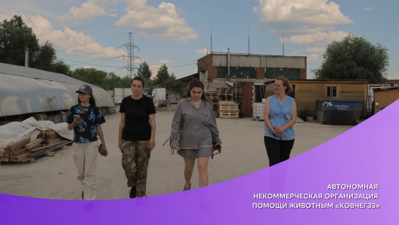 «Добрый Владимир»: НКО помощи животным «Ковчег 33»