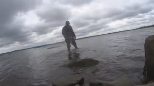 Идущий по воде.Чуть не проколола мне сапоги.вот эта рыба.