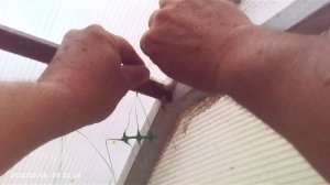 Распутать и установить шпалерную сетку для огурцов и вьющихся растений.