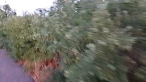 Земля в иллюминаторе видна...
