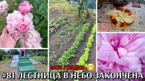 #81 лестница в небо закончена / мои грядки / жизнь в деревне