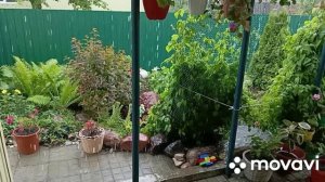 Покупка на Вайлдберриз.Жарю котлеты и оладьи.Дождь