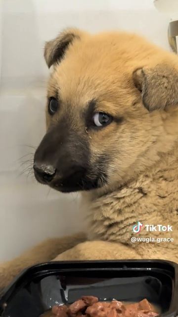 тронуло сердечко смотреть онлайн