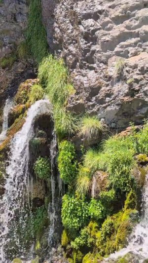 Горный трек как путь жизни | Сандэнс и водопад Стюарт